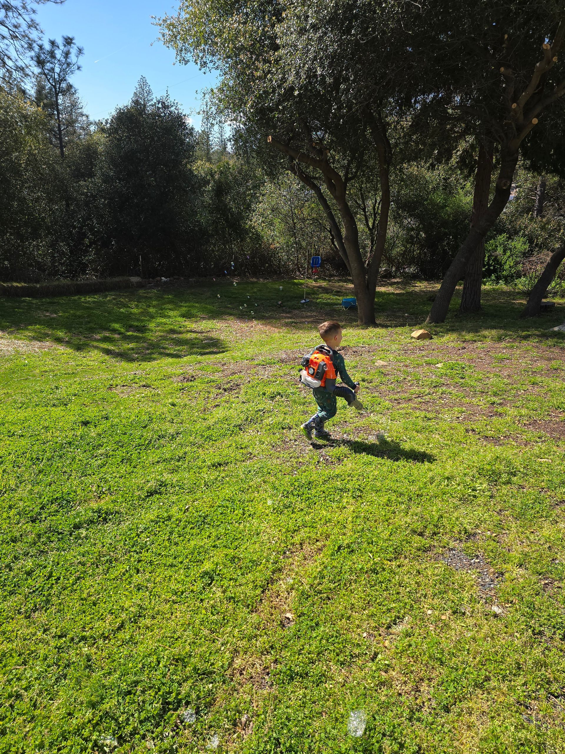 A little boy is running through a grassy field with trees in the background