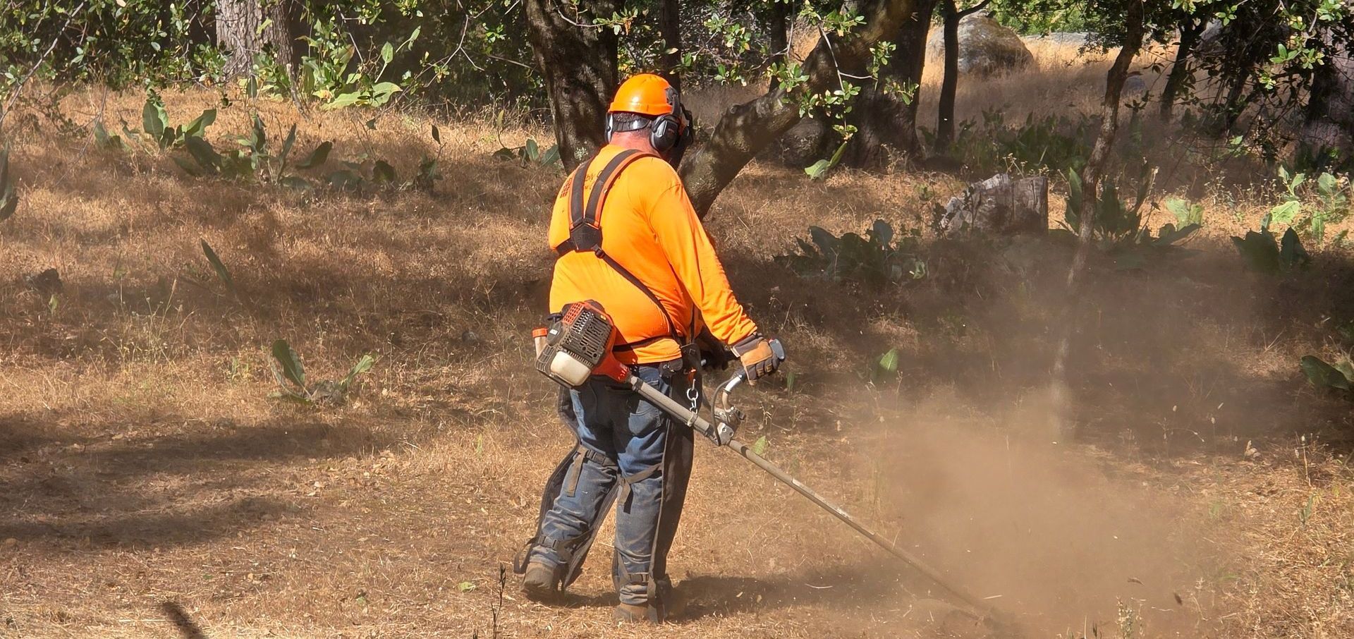 A man is using a brush cutter in the woods.