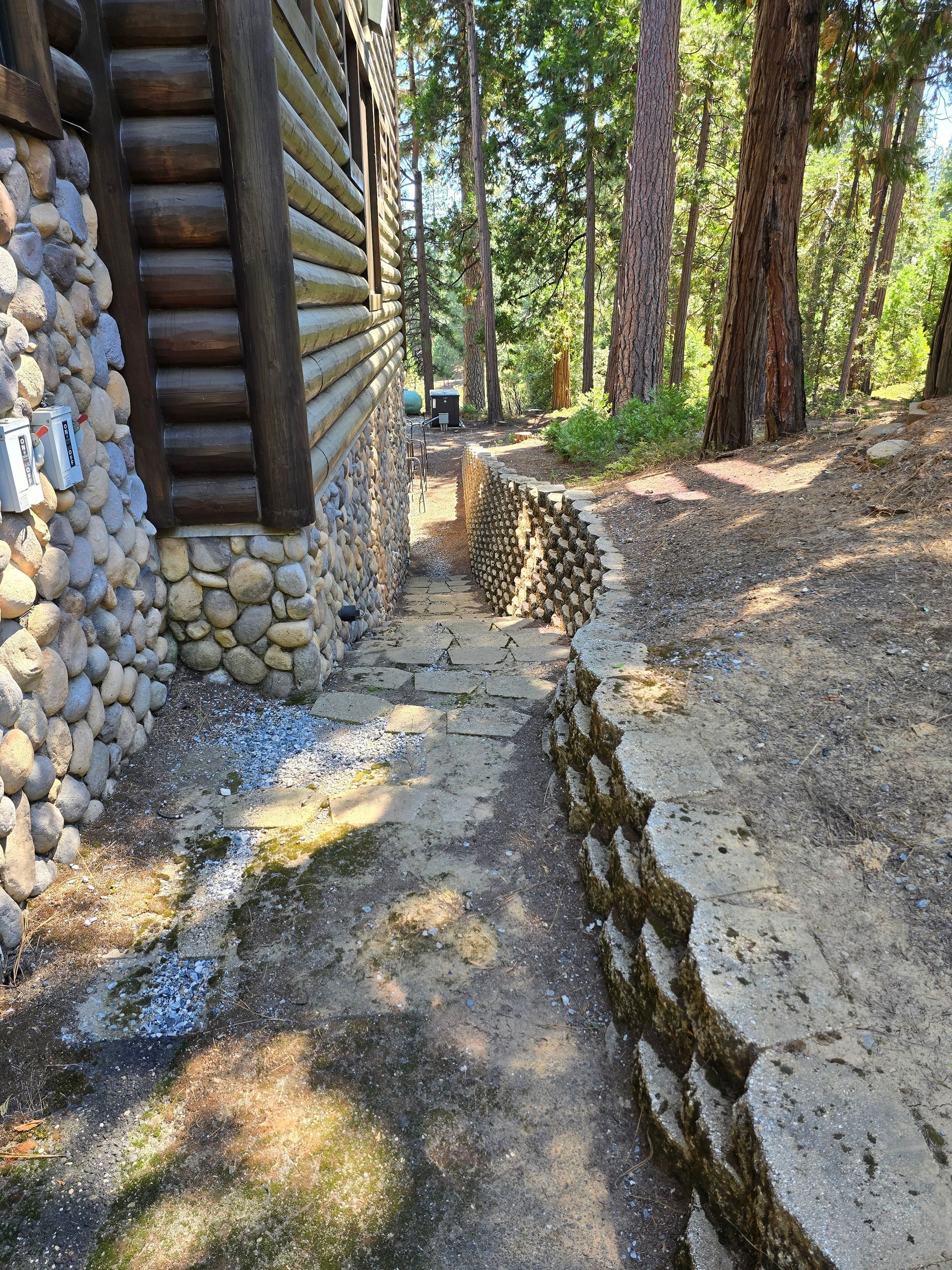 A stone walkway leading to a log cabin in the woods.