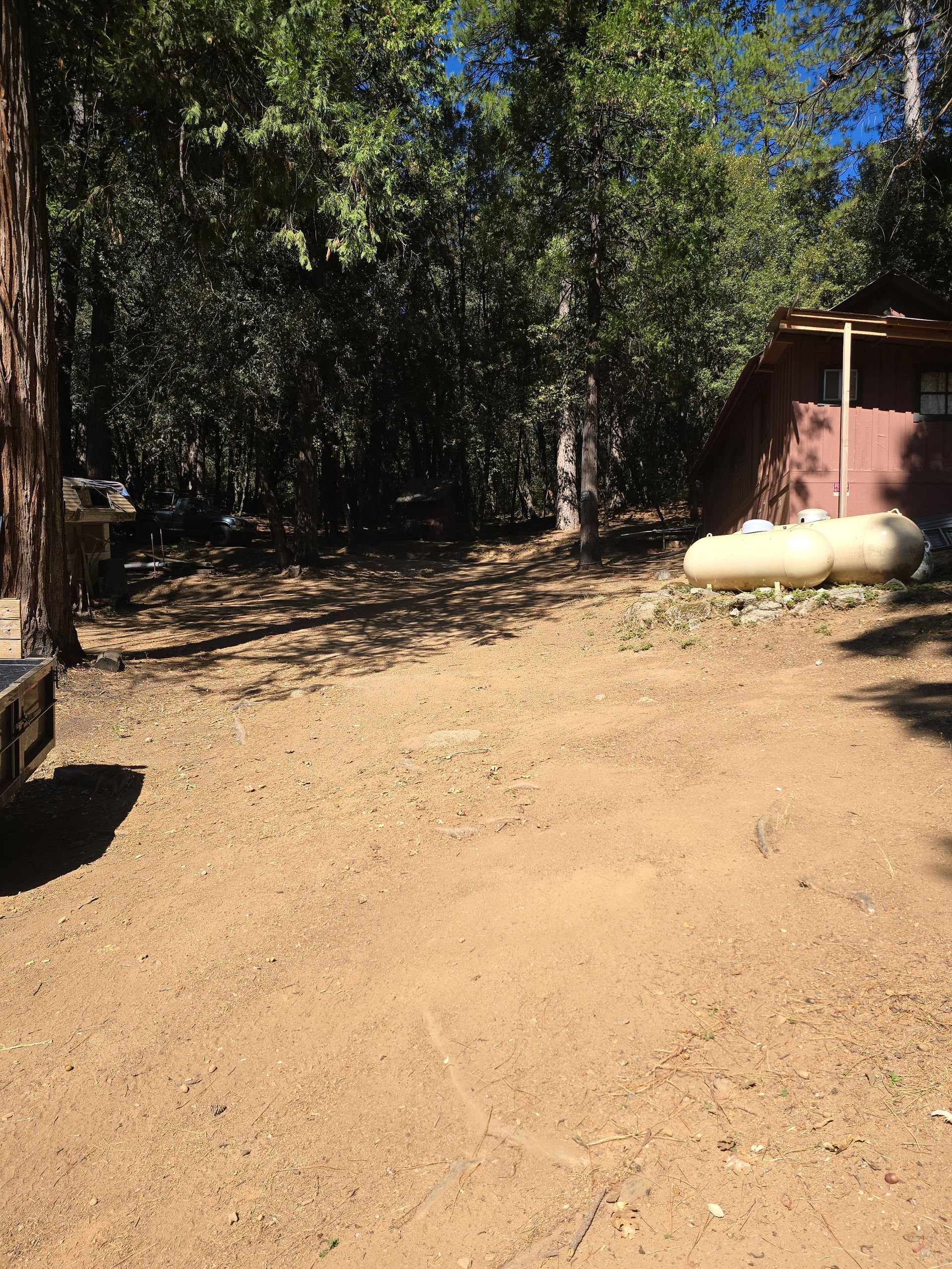 A sheep is laying in the dirt in front of a building in the woods.