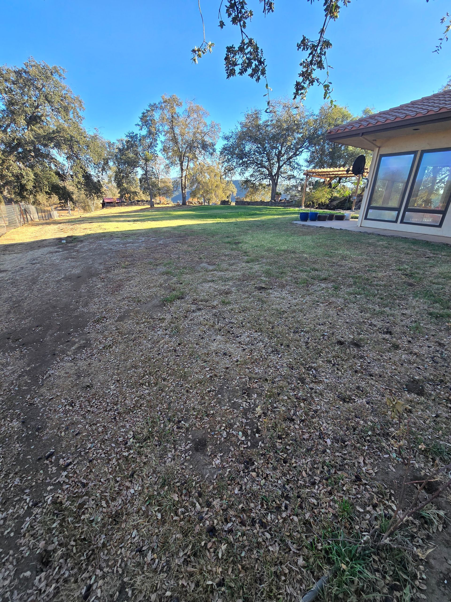 A house with a lot of leaves on the ground in front of it.