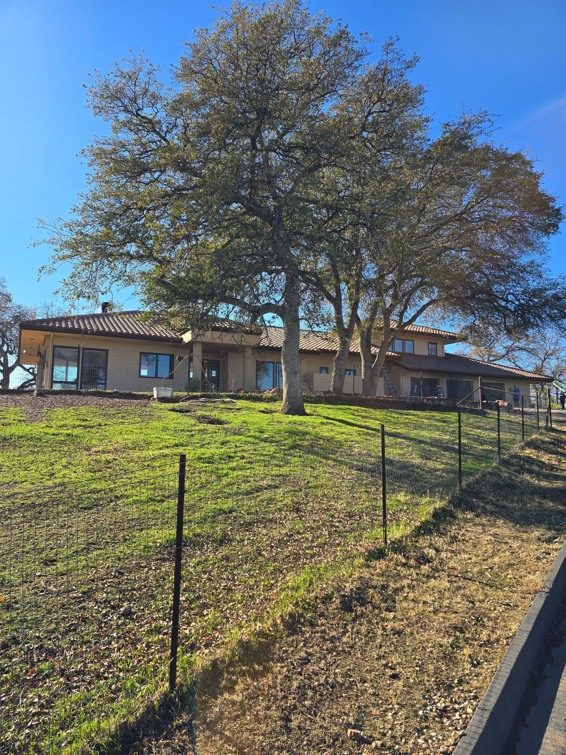 A house is sitting on top of a grassy hill next to a fence.