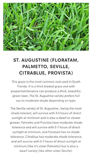 St. Augustine