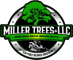 Logo for Miller Trees LLC, featuring a green tree, machinery, and phone number.