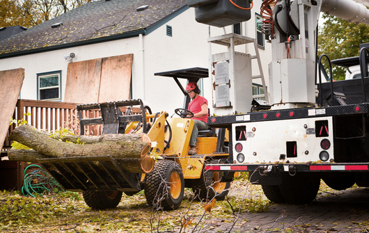 Person operating a yellow front-end loader carrying tree branches, loading them onto a truck. Backyard setting, overcast sky.