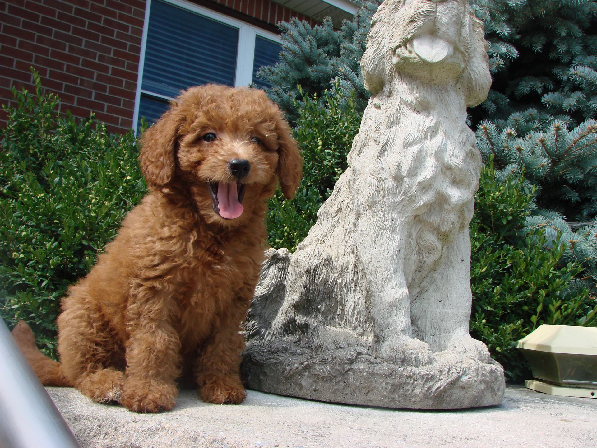 A puppy is sitting next to a statue of a dog