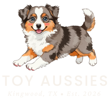 Cartoon of a smiling, tri-colored Australian Shepherd puppy with 