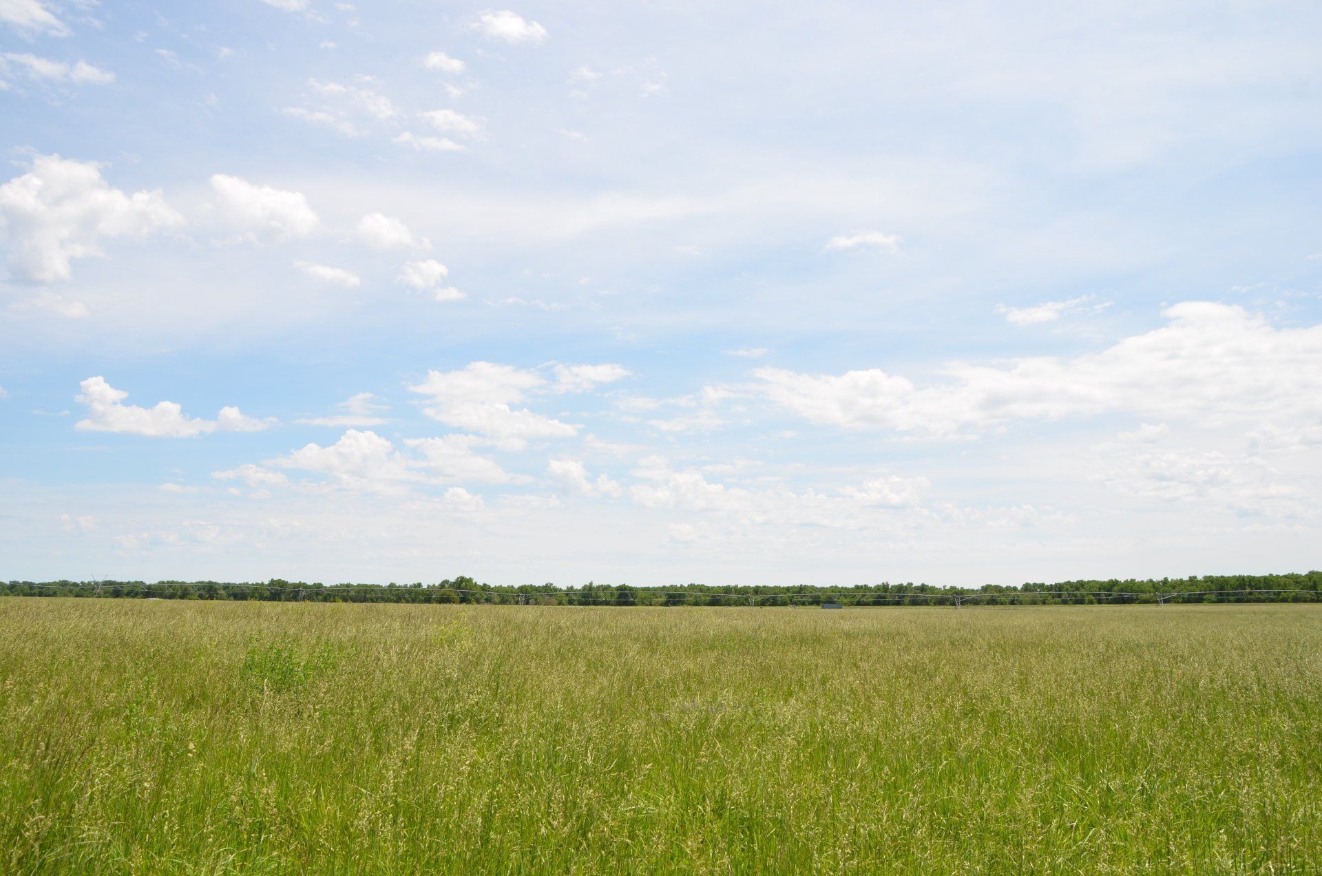 a person picking strawberries in a field with three baskets of strawberries