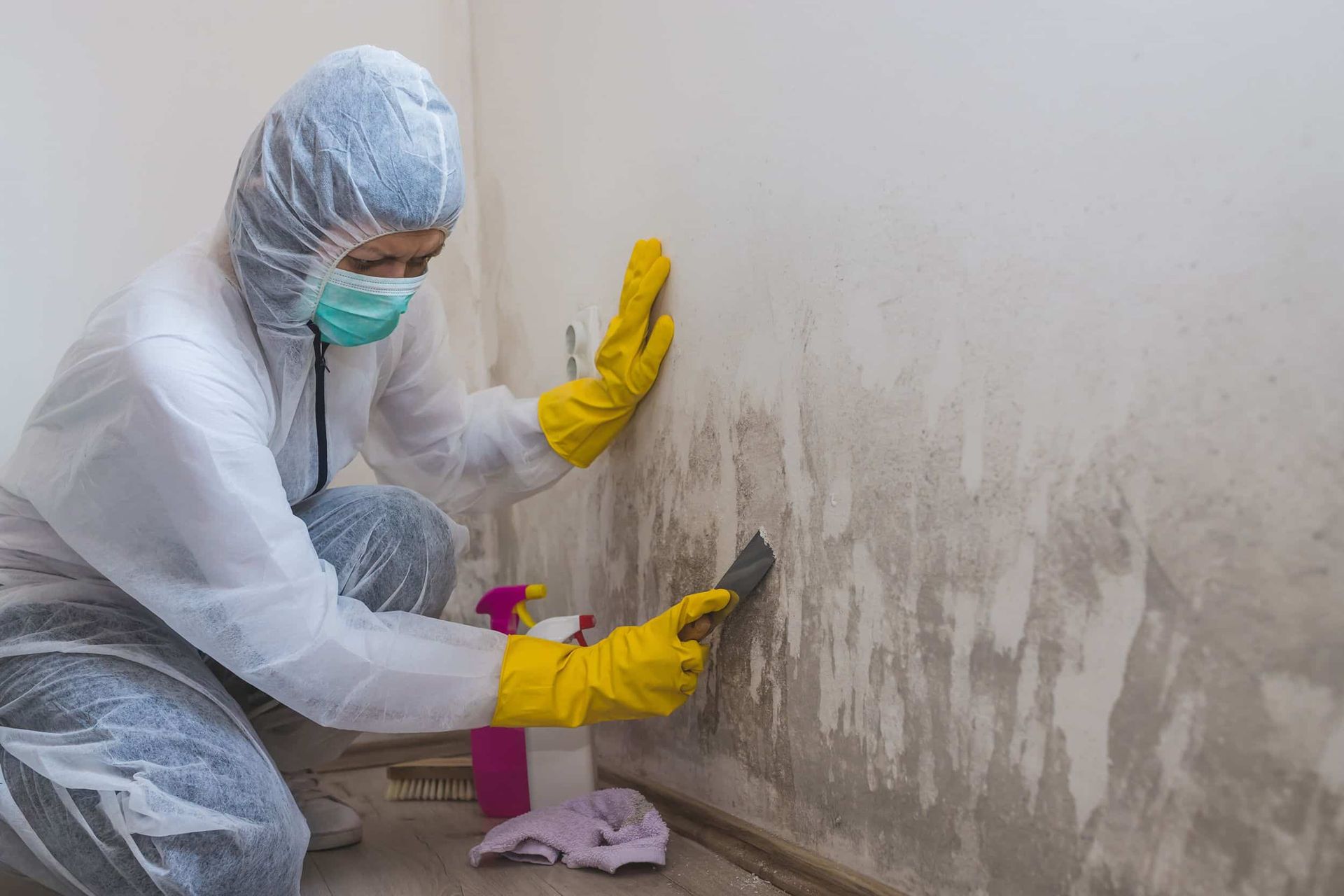 Mold Inspections
