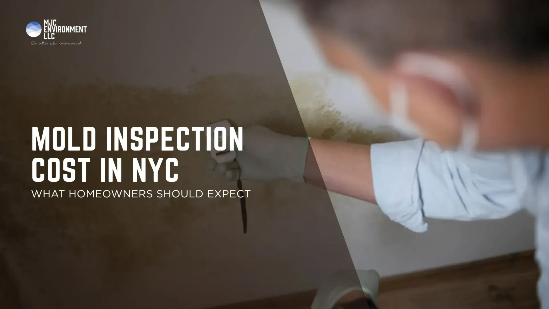 Mold Inspection Cost in NYC