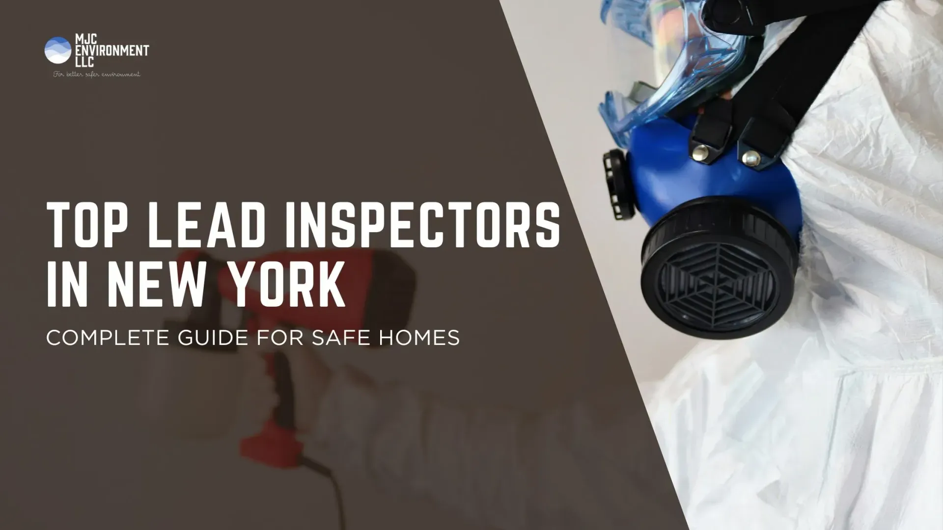 Top Lead Inspectors in New York