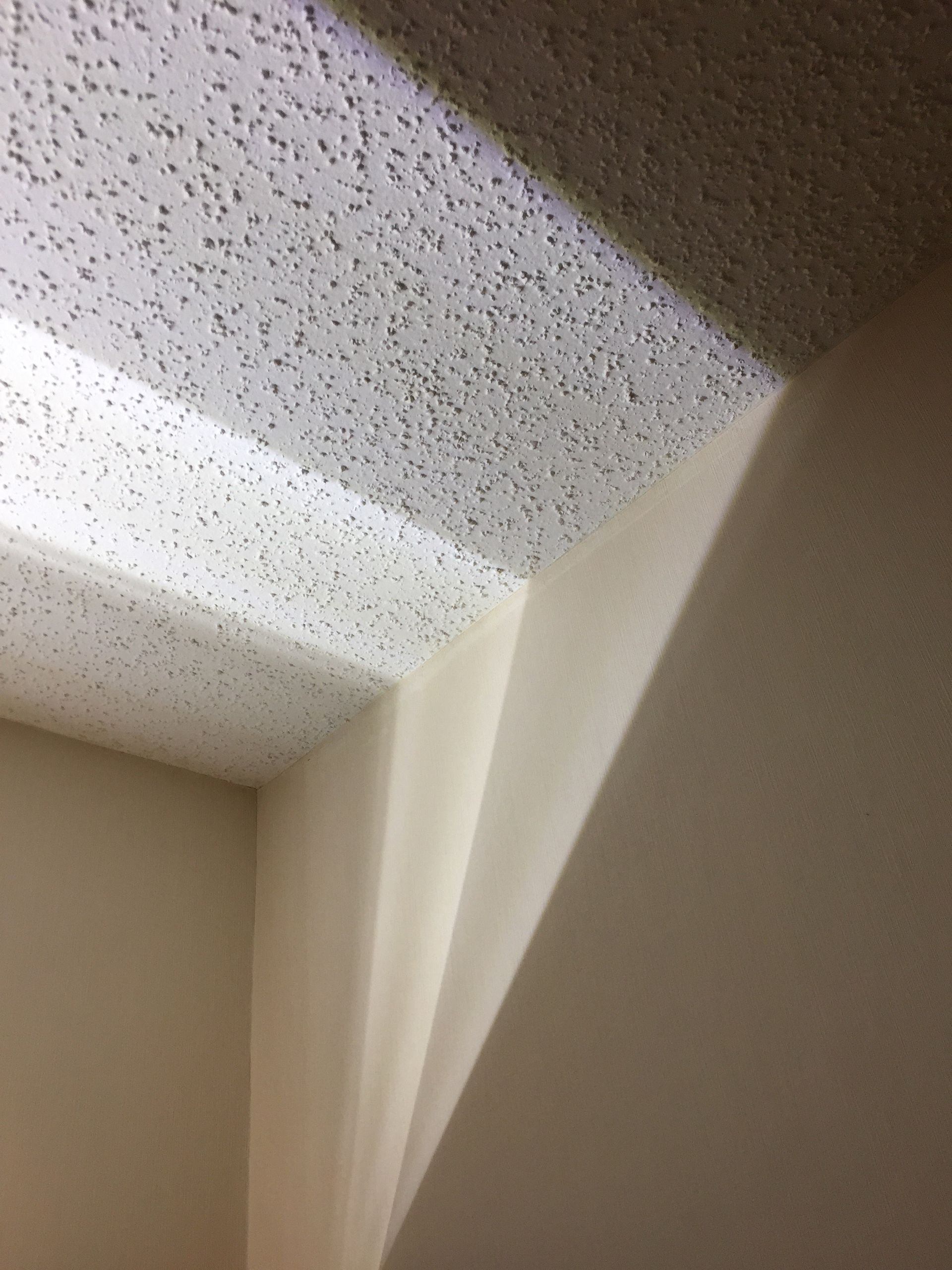 Popcorn Ceiling