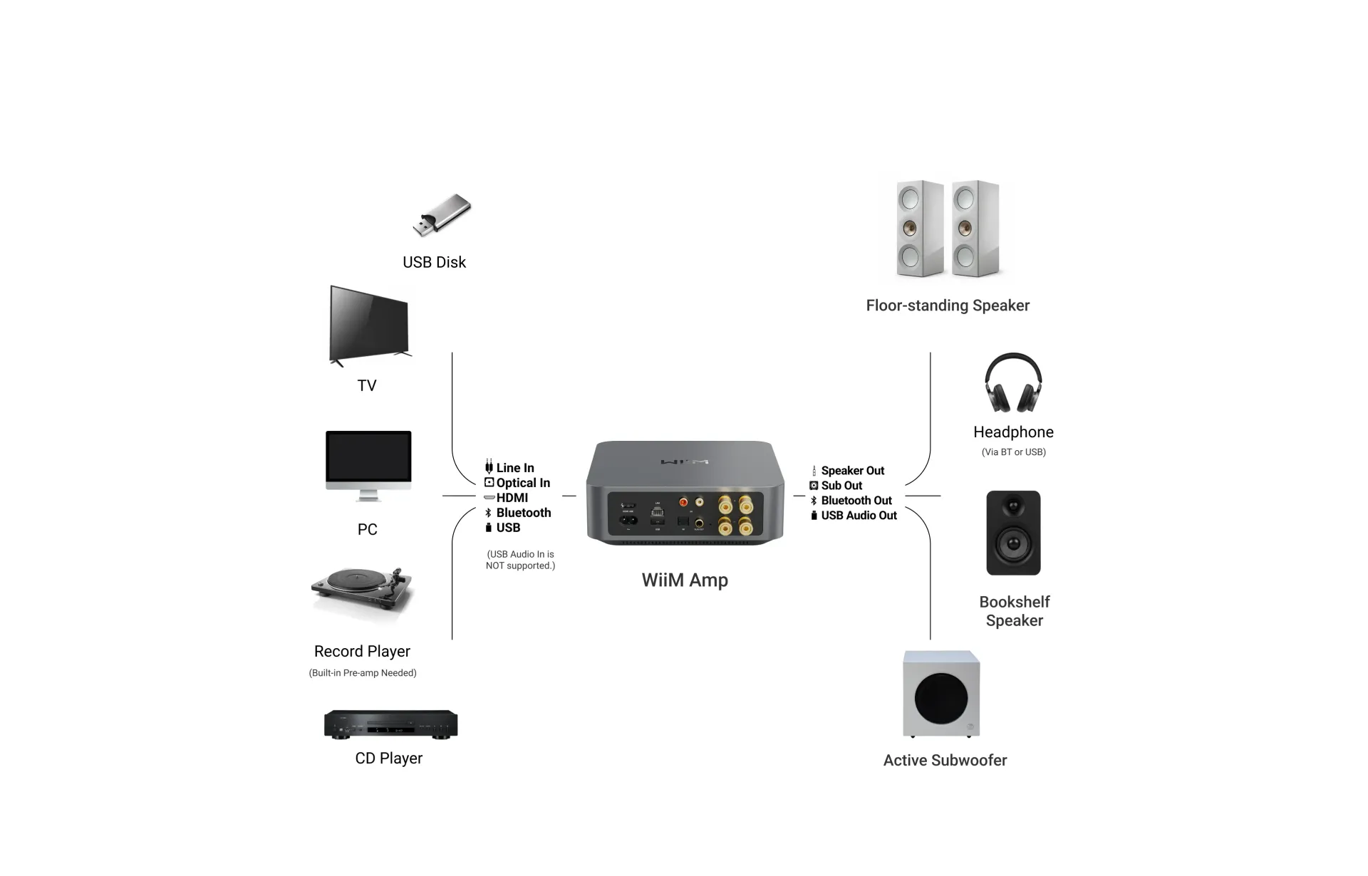 WiiM Amp - Grey