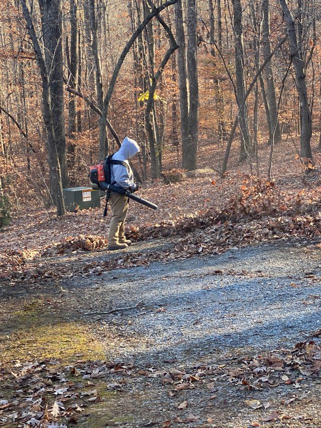Person using a leaf blower on a wooded trail in autumn.