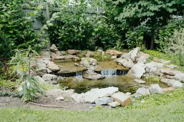 Backyard water feature installation in Lexington, KY