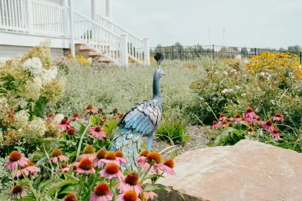 Landscape installation in Lexington KY