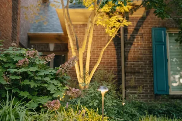 Outdoor landscape lighting in Lexington, KY