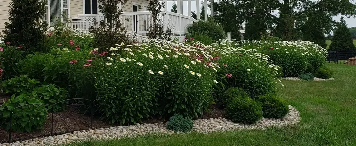 Landscape installation costs for creating a professionally designed outdoor space in Lexington KY