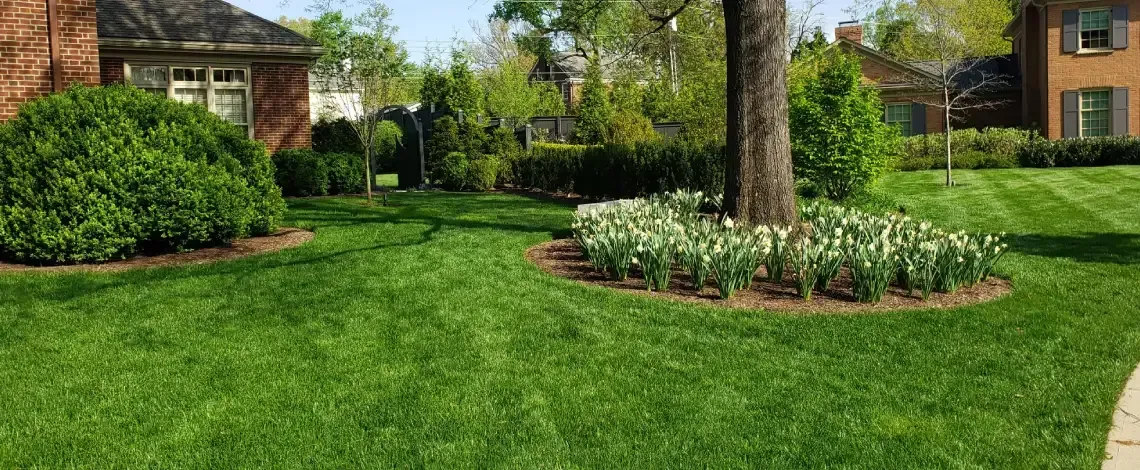 Landscaping investment guide for planning outdoor projects in Lexington KY
