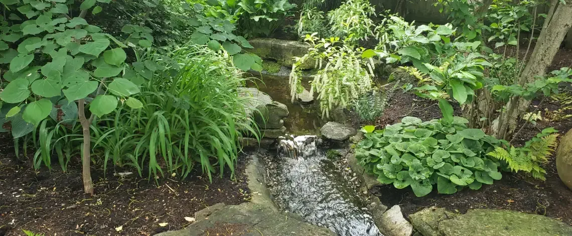 Native Kentucky plants adding natural beauty and texture to a landscaped area in Lexington KY