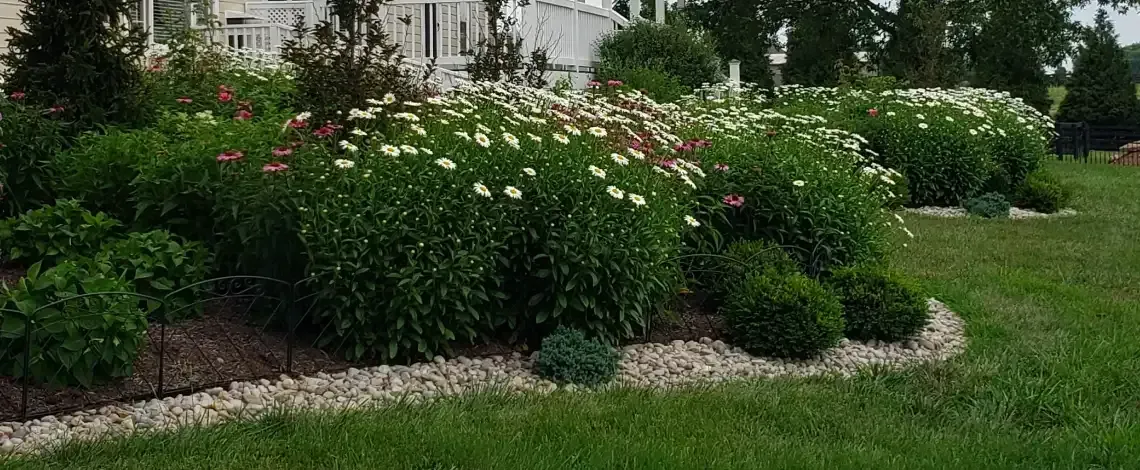Spring planting guide featuring plants suited for landscapes in Lexington KY