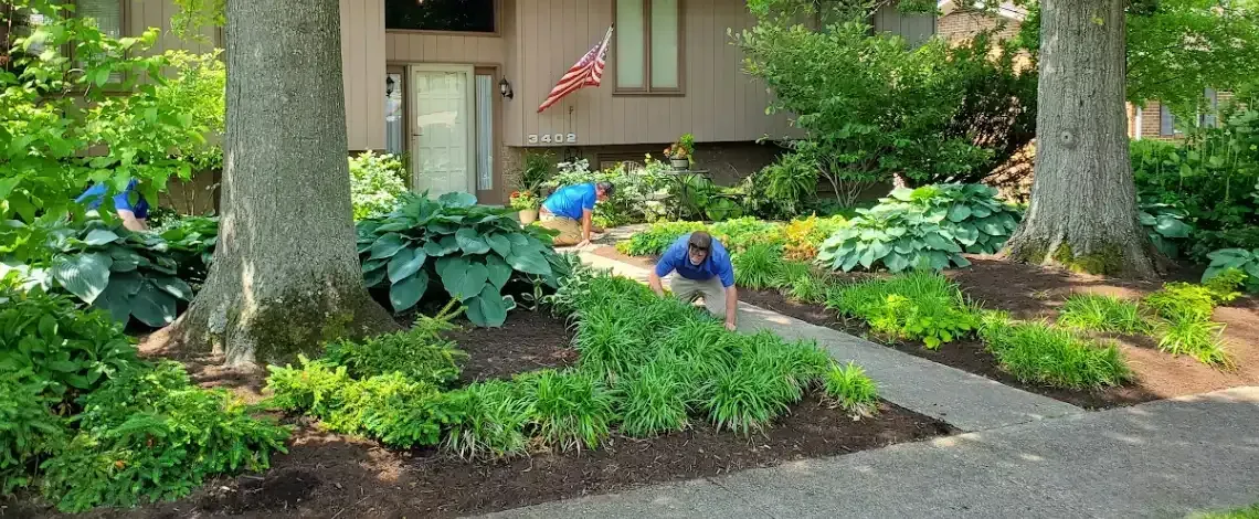 Spring yard preparation with refreshed landscape beds and seasonal plantings in Lexington KY