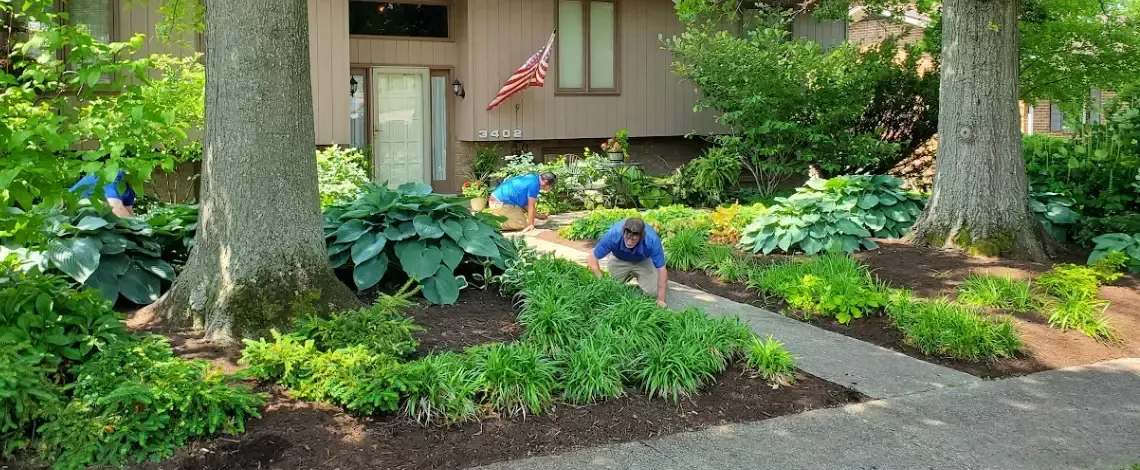 Estimated yard improvement costs for landscaping projects in Lexington KY