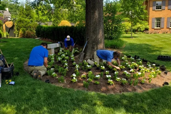 professional landscaping lexington ky