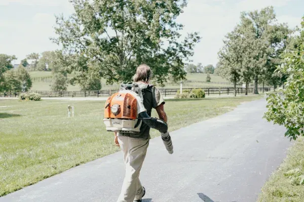 Seasonal landscape cleanup in Lexington KY