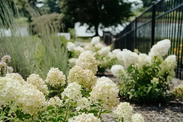 woodford county ky landscaping services