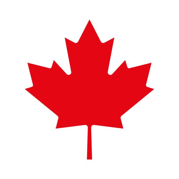 A red maple leaf on a white background