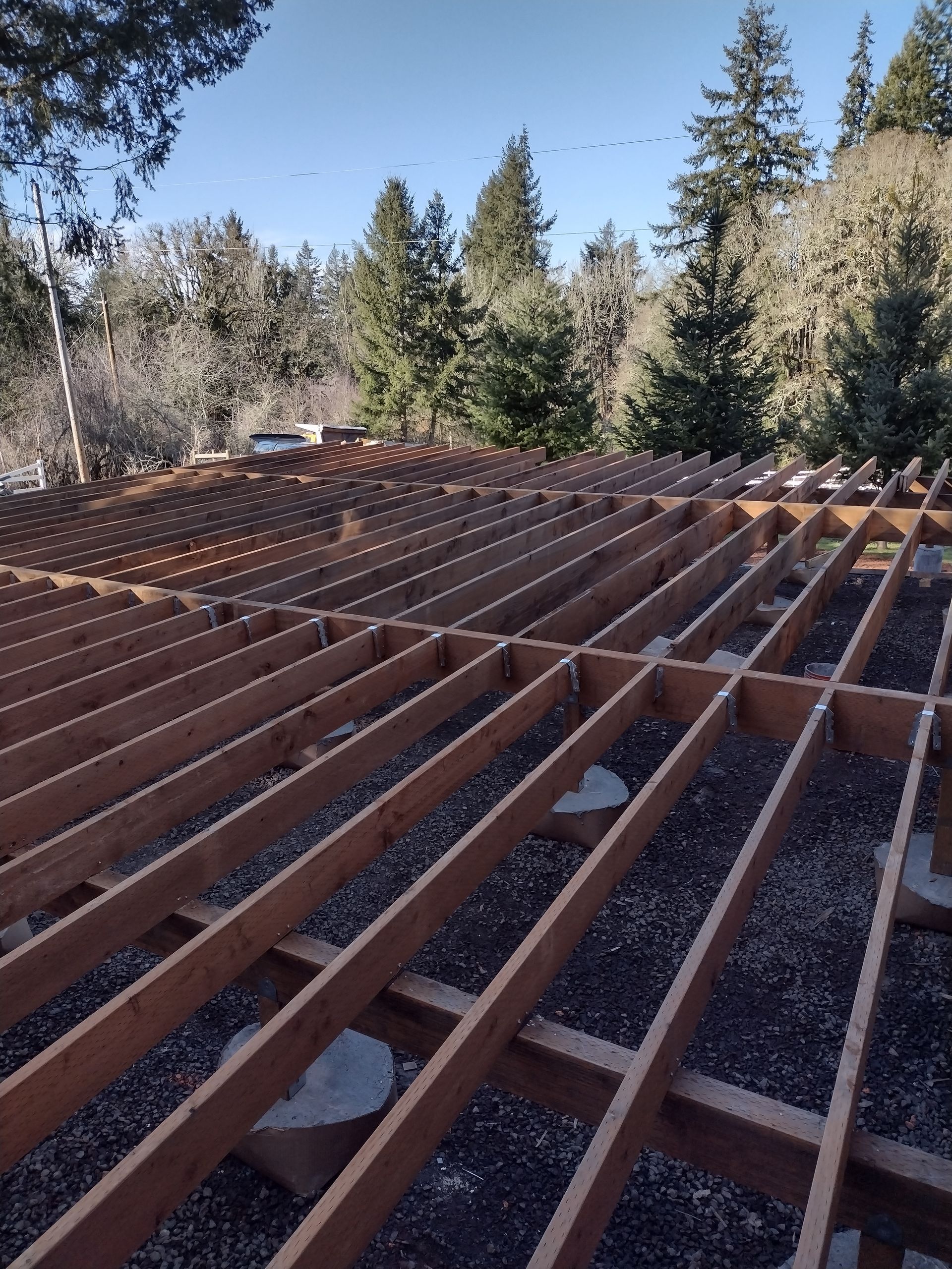Rust-colored metal roof framing under construction with trees and blue sky in the background