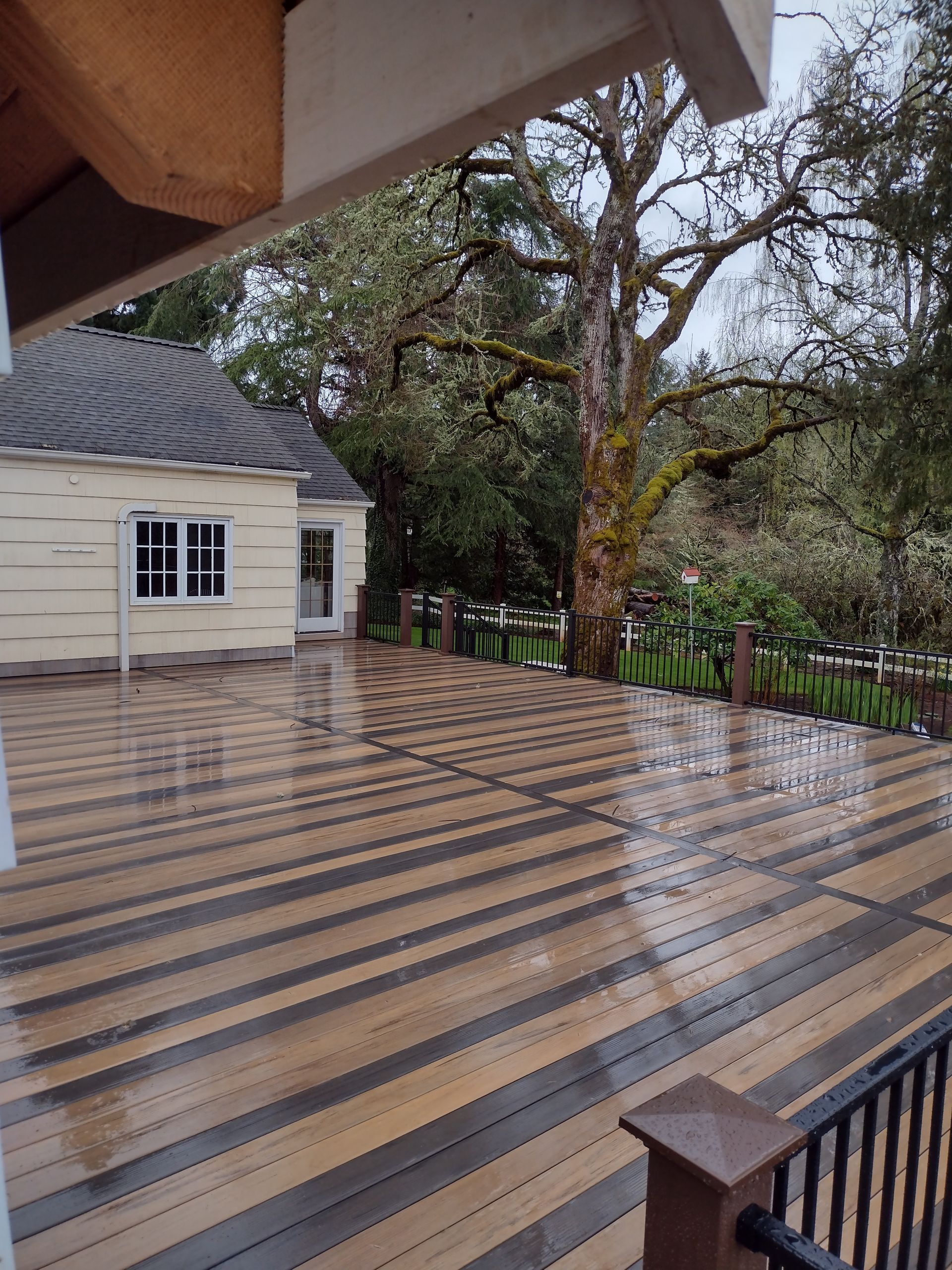 Rain-soaked wooden deck with black railings and trees beside a small white building