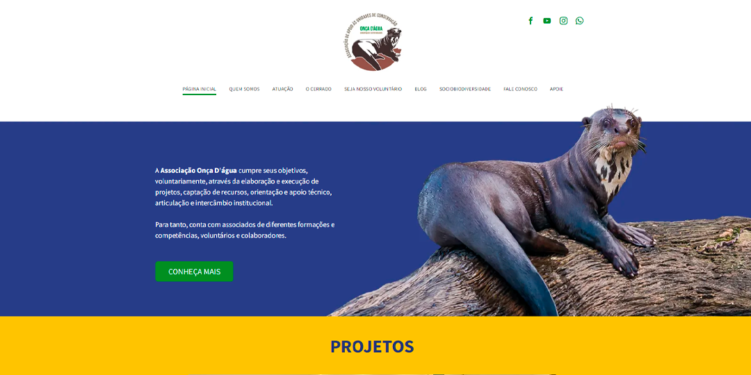 Uma lontra está sentada no topo de uma pedra em um site.