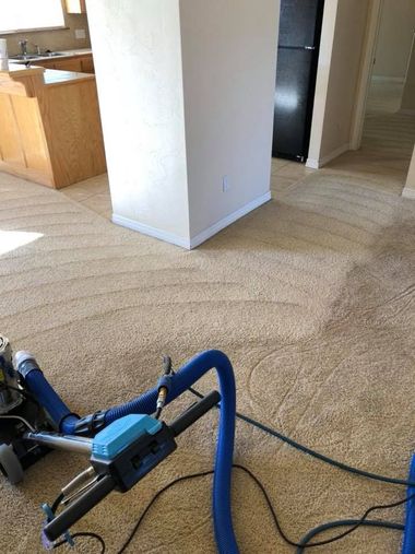 Blue carpet cleaner in a beige room with a vacuum hose on the floor