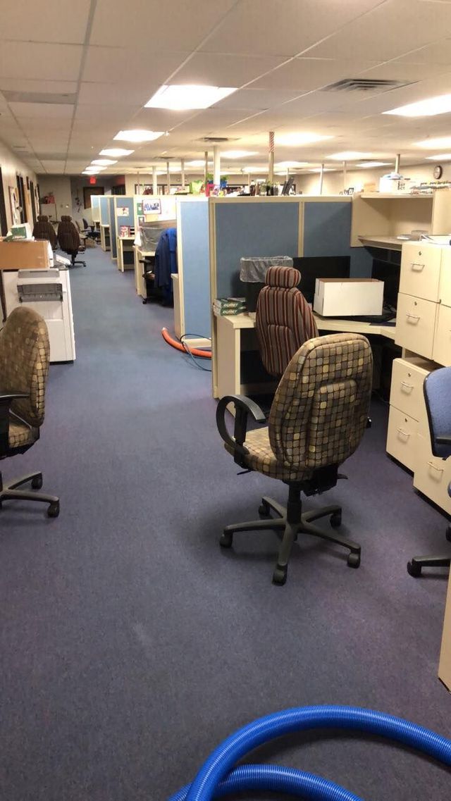 Open office cubicles with computer desks, blue carpet, and rolling chairs under fluorescent lights.