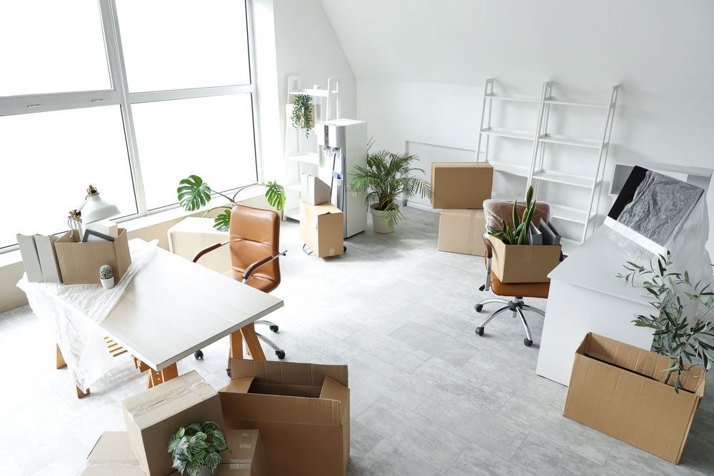 Bright home office with desks, chairs, boxes, and potted plants in a sunlit room