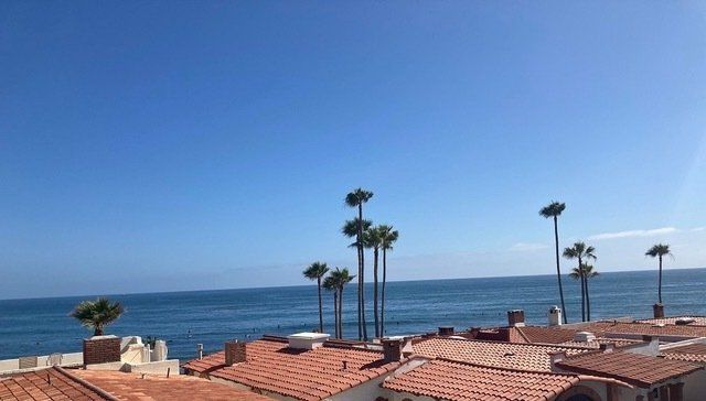 View of pacific ocean with palm trees at Las Gaviotas in Baja California