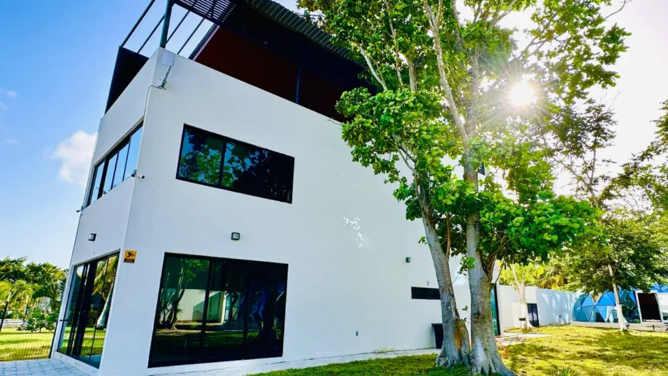 Edificio moderno blanco con grandes ventanales y terraza en la azotea, enmarcado por un árbol en un día soleado.