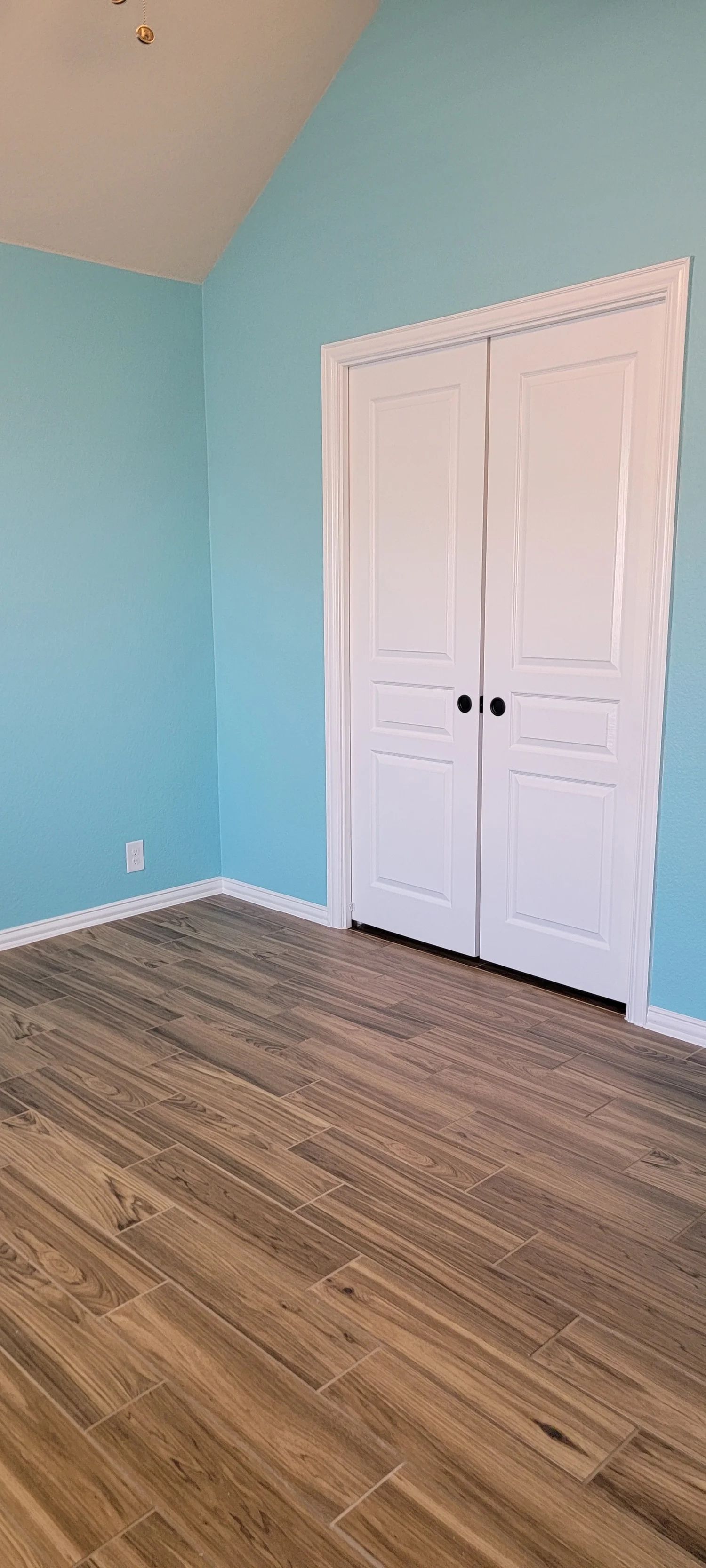 Bedroom with turquoise walls, white closet doors, and wood-look flooring.