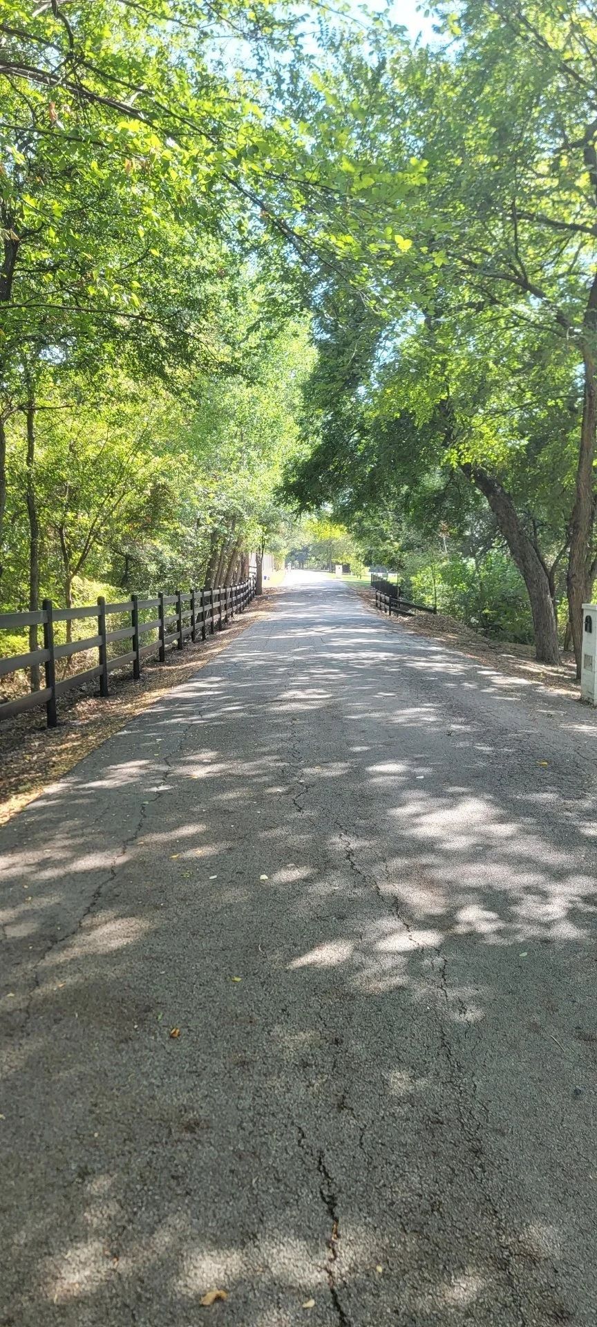 Gravel road through a tree-lined area. Sun casts shadows on the path. Wooden fence on the left side.