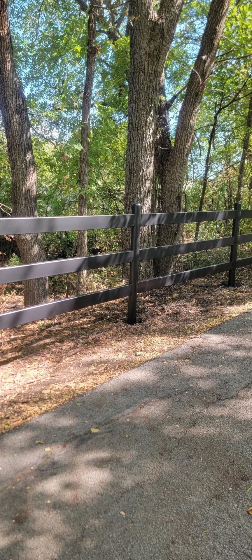 Fence along a paved path, trees in background, sunny day.