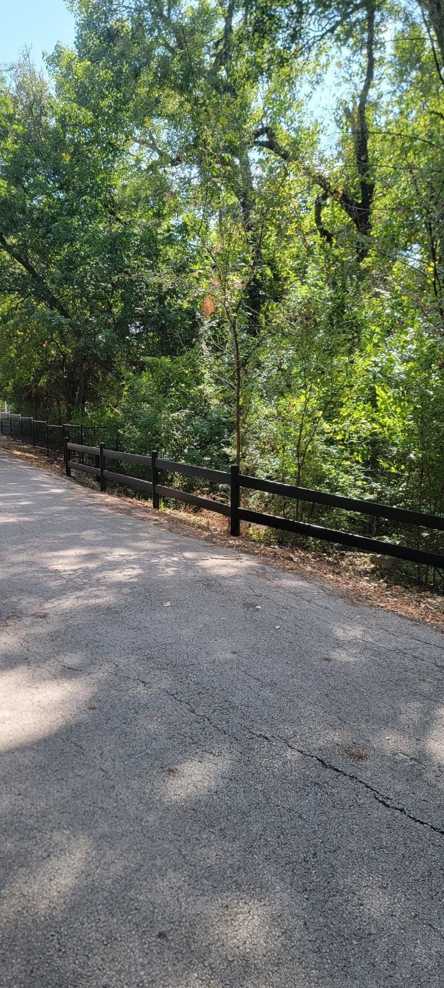 Gravel path with a wooden fence alongside lush green trees under a blue sky.