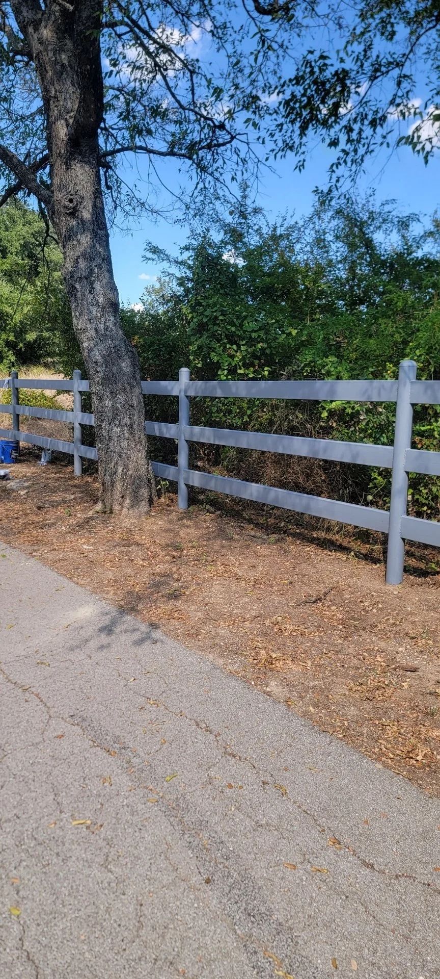 A white painted wooden fence along a tree and brown ground, with a paved road in the foreground.