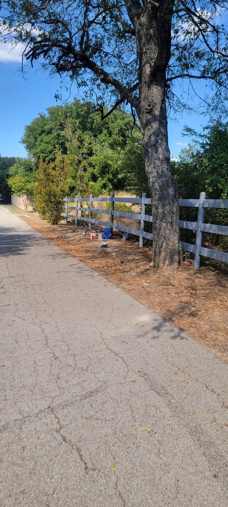 Asphalt road next to a white fence, tree and foliage under a blue sky.