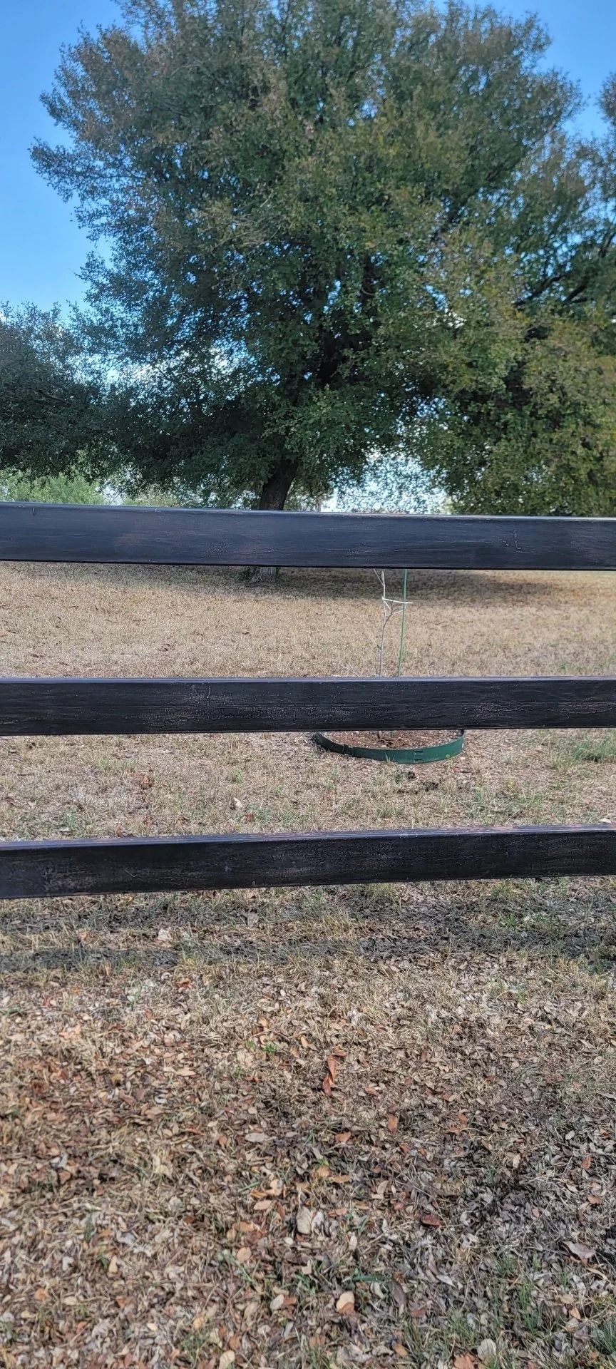 Wooden fence in front of a tree against a blue sky.