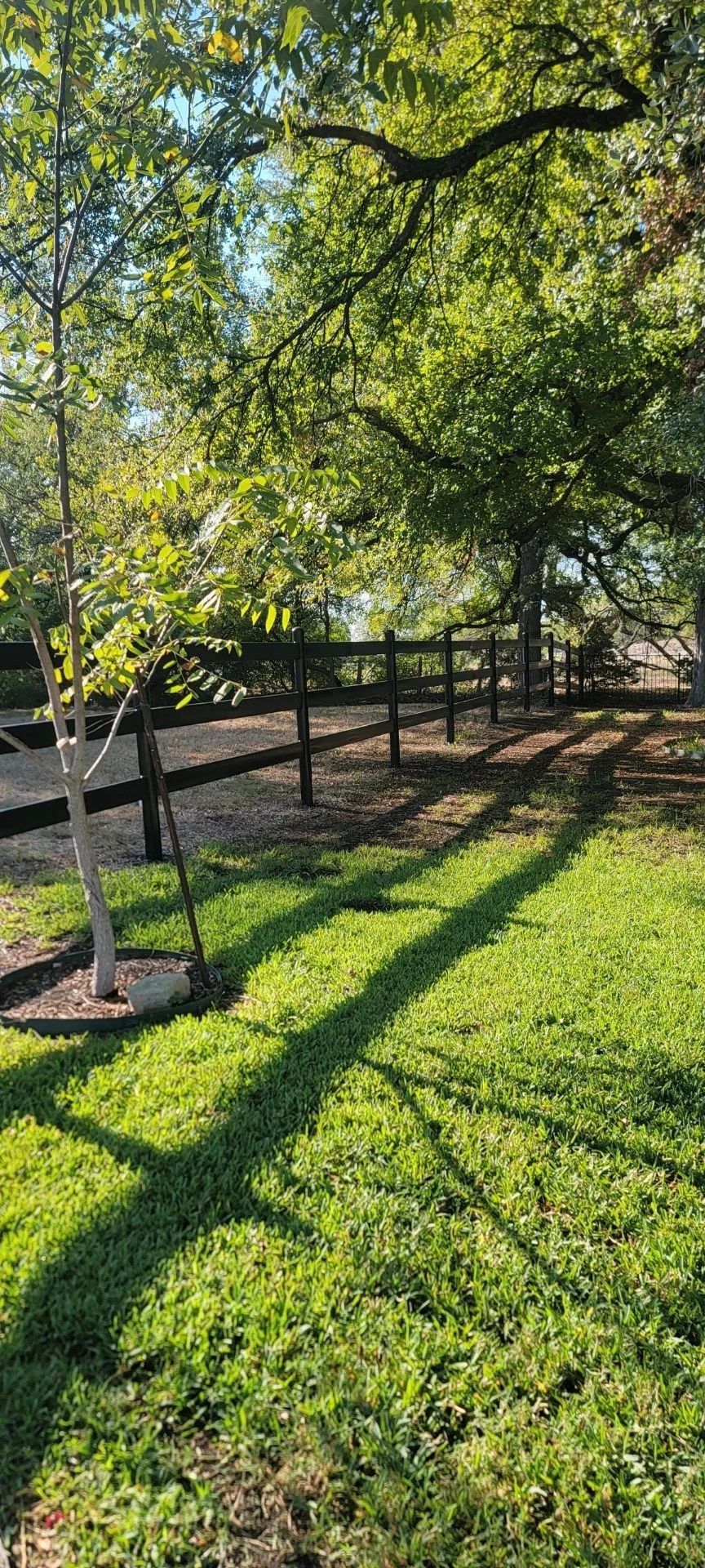 Green lawn with tree shadow, brown fence, and trees.