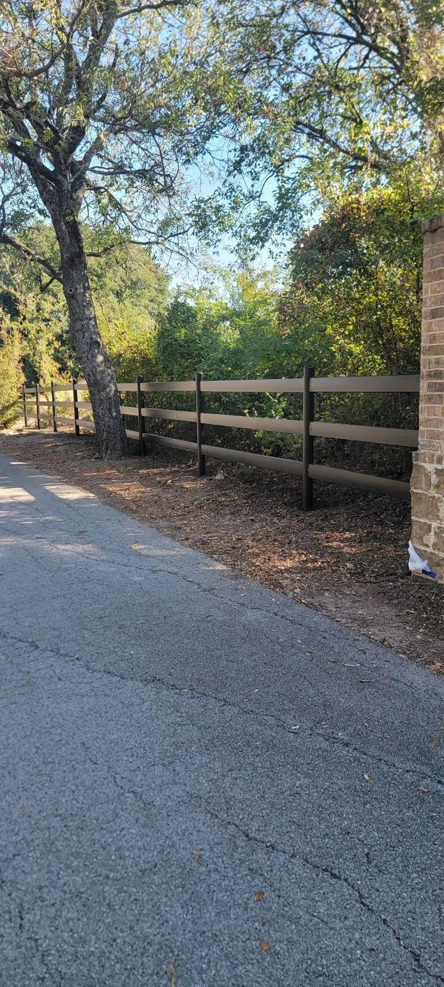 A tree next to a three-rail fence alongside a paved driveway.