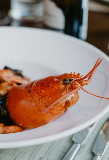 Fettine di pesce gourmet impiattate con limone e verdure, guarnite con olio alle erbe e pepe su un piatto bianco.