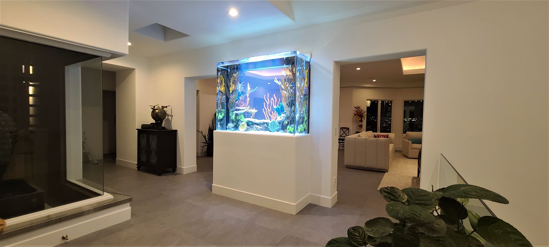 Aquarium Company Carlsbad, CA Aquaman Aquarium Services